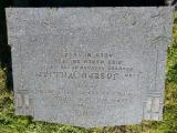 image of grave number 525219